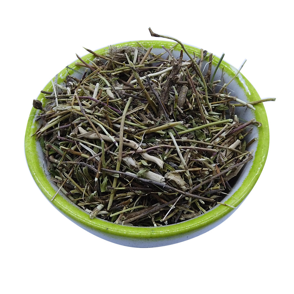 WILD THYME Herb - Available from 2oz-4lbs